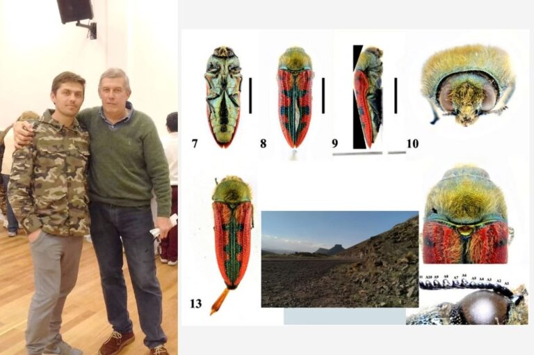 Isaías Lange y su padre Rolando comparten su pasión por la entomología. A la nueva especia se la denominó con el nombre científico 'Lasionota zapalaensis' (Zapala por la ciudad y ensis por el nombre del lugar en latín).