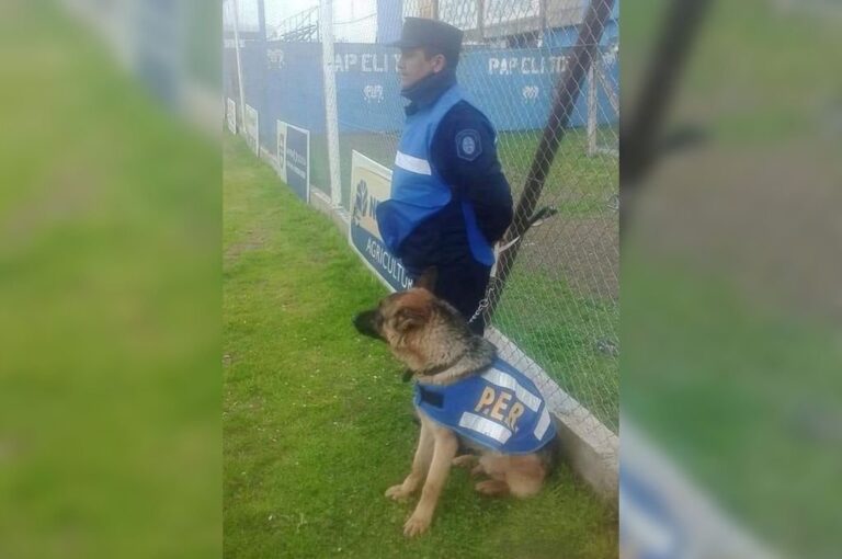 El adiestramiento de perros se realiza a través de un juego
