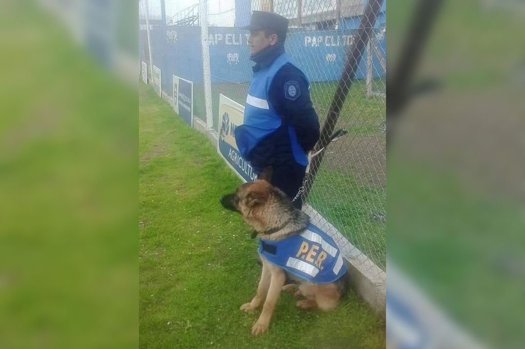 El adiestramiento de perros se realiza a través de un juego