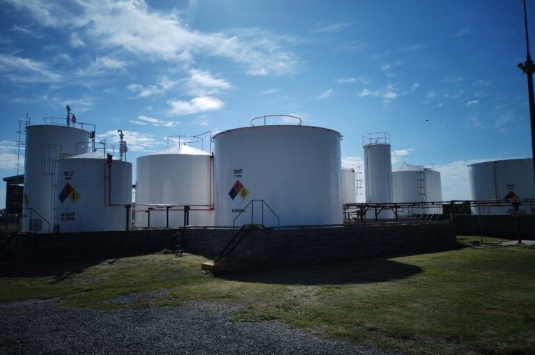 El desarrollo científico-tecnológico había conseguido mucho tiempo antes elaborar combustibles de origen vegetal. Archivo.