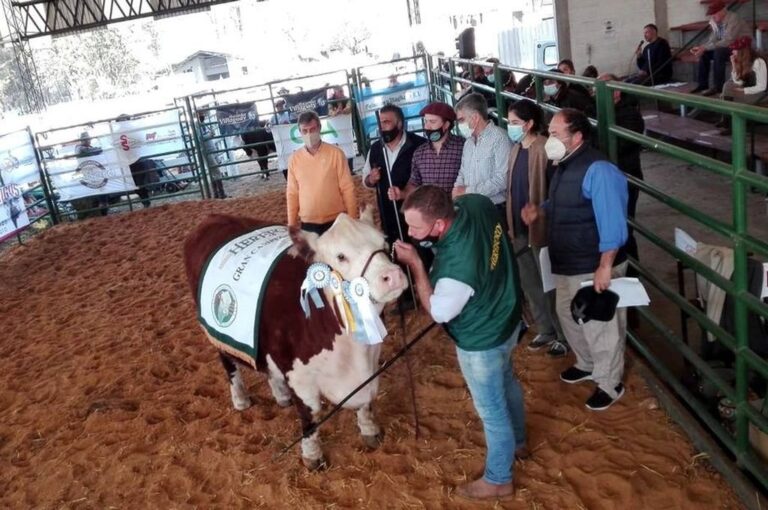 Luego de dos ediciones donde sólo ingresaron cabañeros y asistentes