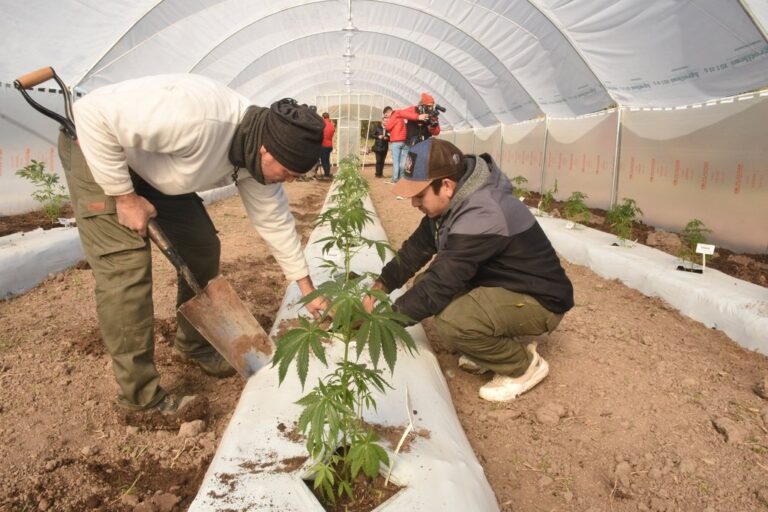 Guillermo Di Salvatore