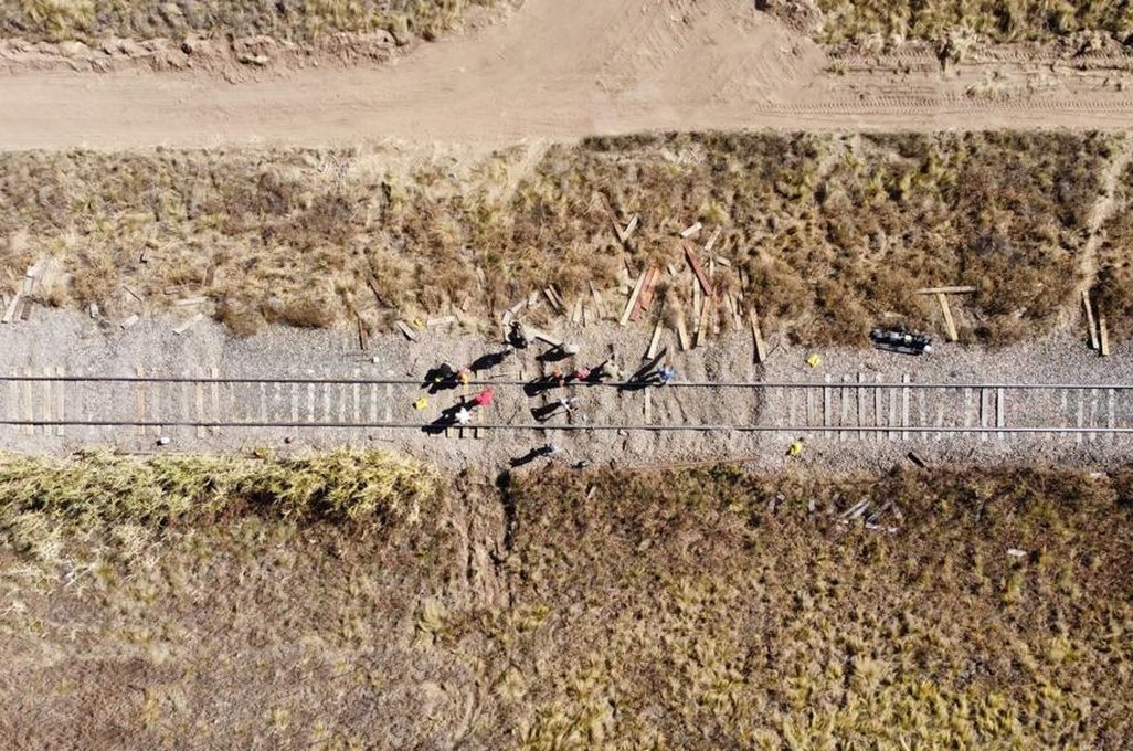Trenes Argentinos Cargas