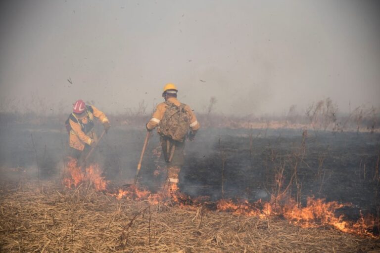 Los incendios se volvieron a sentir en Granadero Baigorria y en Rosario. Archivo.