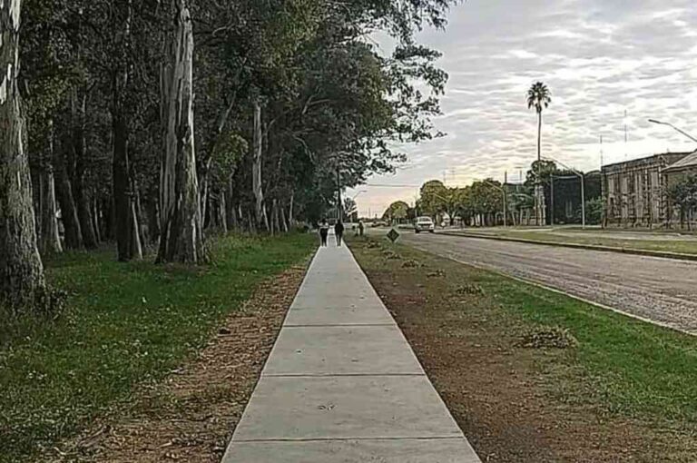 Mirador