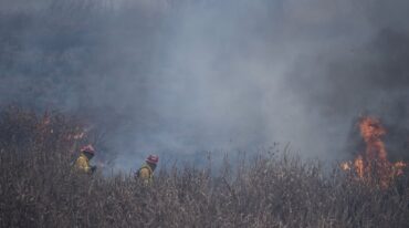 El Servicio Nacional del Manejo del Fuego informó este miércoles que en Entre Ríos