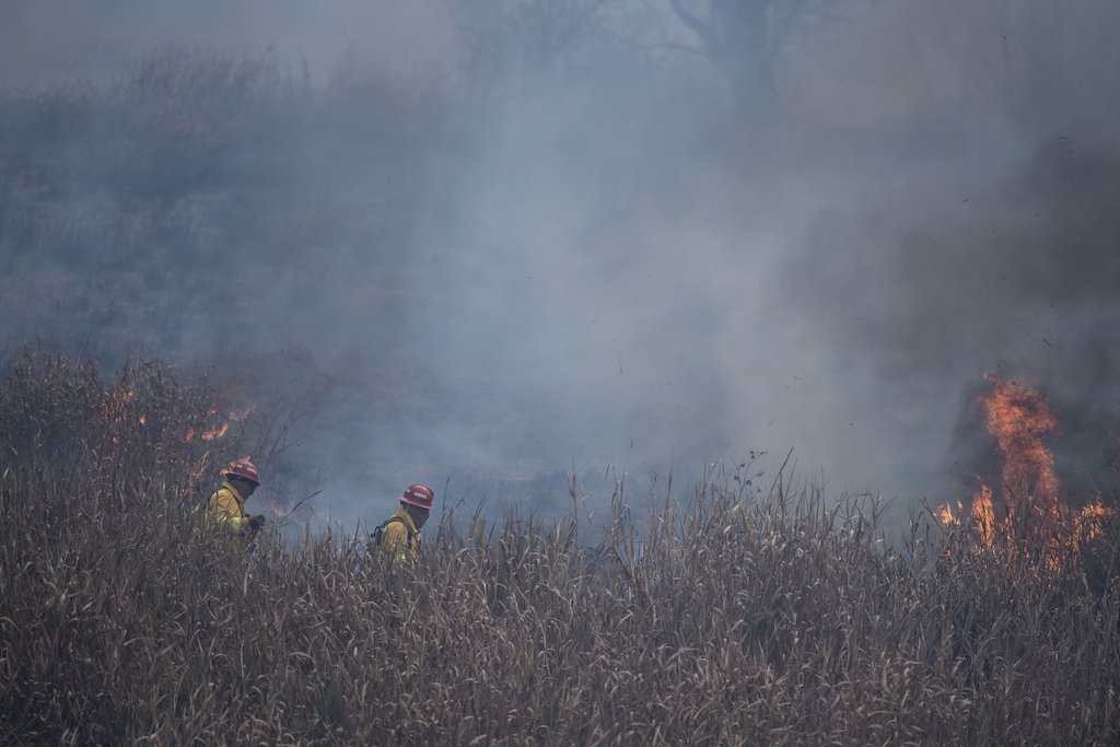 El Servicio Nacional del Manejo del Fuego informó este miércoles que en Entre Ríos
