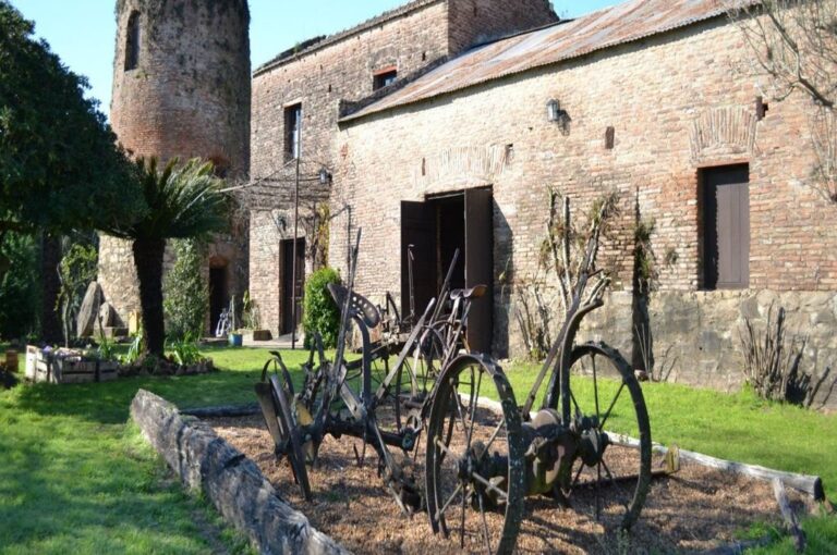 El Museo Provincial Molino Forclaz tendrá un 50% de descuento en las entradas y allí se realizará la presentación del violinista local Josi Jonas.