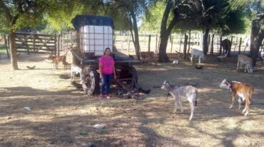 El viernes 23 de diciembre llegaron a Fortín Olmos 15 barriles de 200 litros más 4 cubas de 1.000 desde Reconquista y alrededores. Gentileza