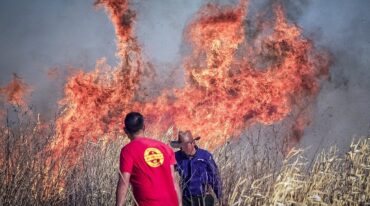 Los procesados tienen prohibido ingresar a la zona del Delta del río Paraná durante los próximos tres meses y