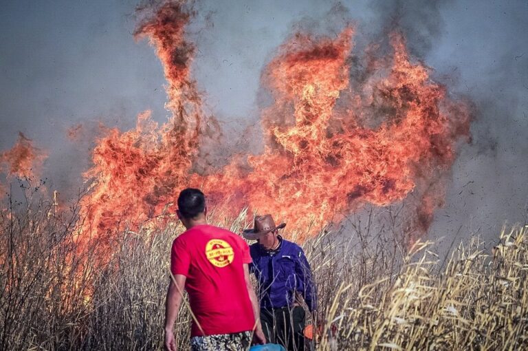 Los procesados tienen prohibido ingresar a la zona del Delta del río Paraná durante los próximos tres meses y