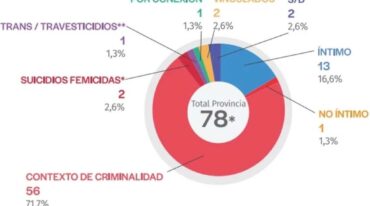 El gráfico refleja los tipos de femicidios cometidos el año pasado en la provincia. Gentileza.