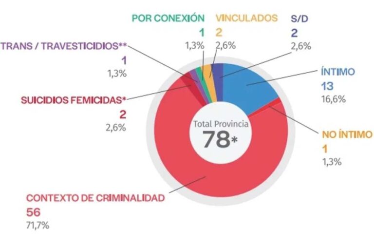 El gráfico refleja los tipos de femicidios cometidos el año pasado en la provincia. Gentileza.