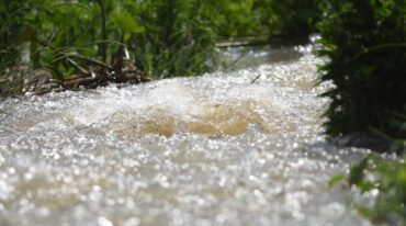 El agua