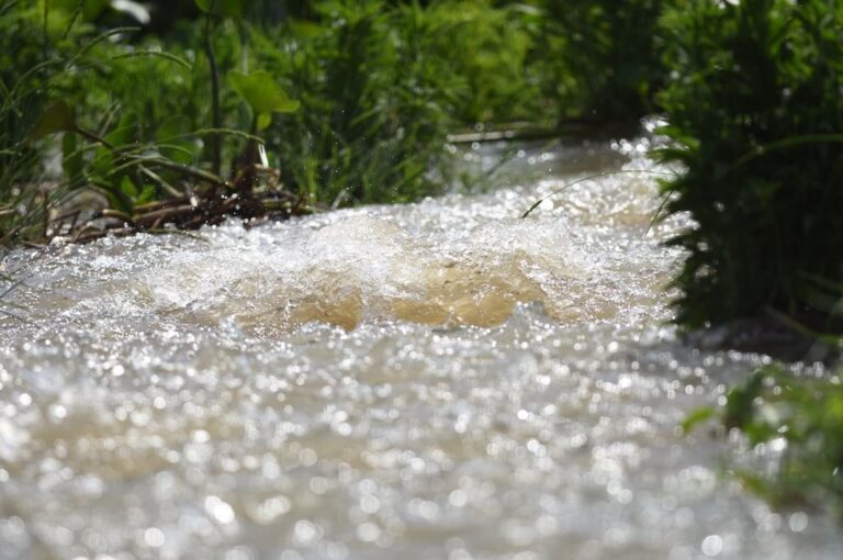 El agua