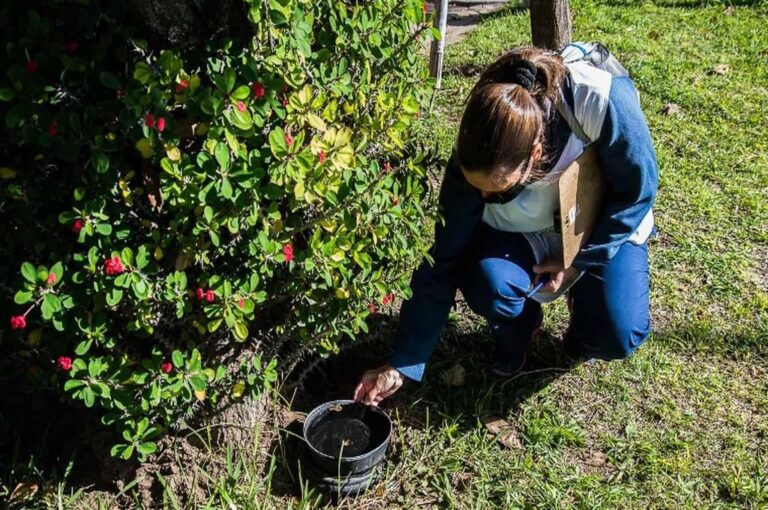 Gentileza Municipalidad de Paraná
