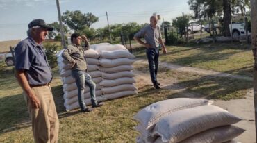 Gentileza.