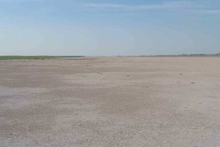 Laguna El Palmar convertida en un páramo. Elvio Baroni.