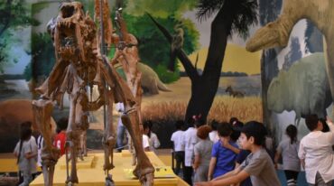 El Museo Antonio Serrano invita a conocer su amplia propuesta expositiva permanente. Archivo