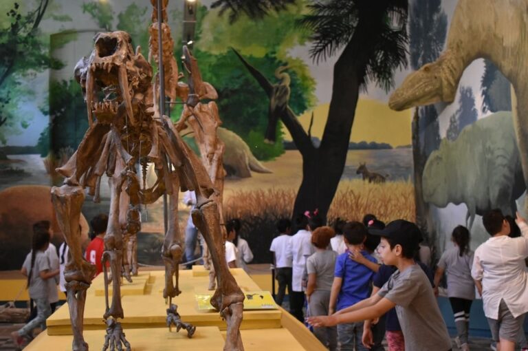 El Museo Antonio Serrano invita a conocer su amplia propuesta expositiva permanente. Archivo