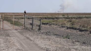 175 millones de hectáreas en todo el país se ven afectadas por la falta de lluvias y los ríos bajos. Archivo.