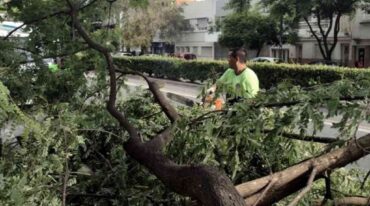 Luego del temporal en horas de la noche más de 20 cuadrillas estuvieron trabajando en la calle para quitar los destrozos. TELAM