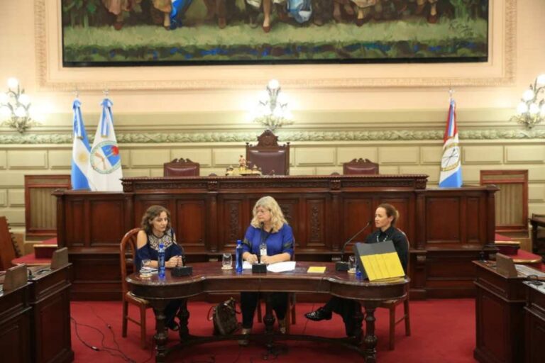 Beatriz Fiotto estuvo en la Cámara de Diputados de la Provincia. Gentileza.