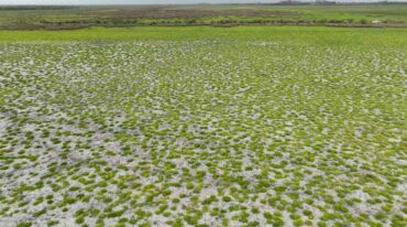 El nivel promedio de la Laguna Añapiré fue siempre de unos 30 a 40 centímetros