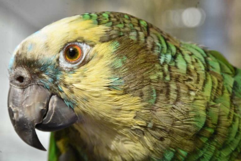 El grupo afectado reside en barrio Barranquitas