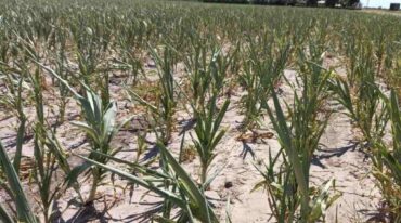 El fenómeno climático y el impacto negativo en la provincia. Archivo.