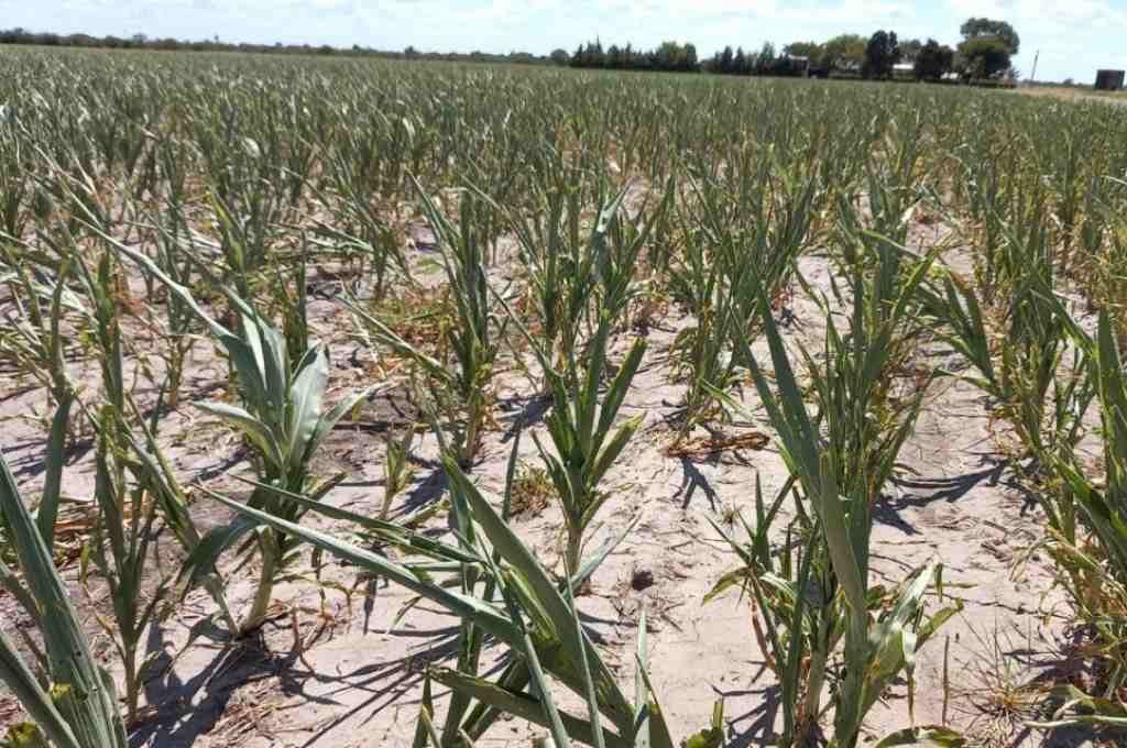 El fenómeno climático y el impacto negativo en la provincia. Archivo.