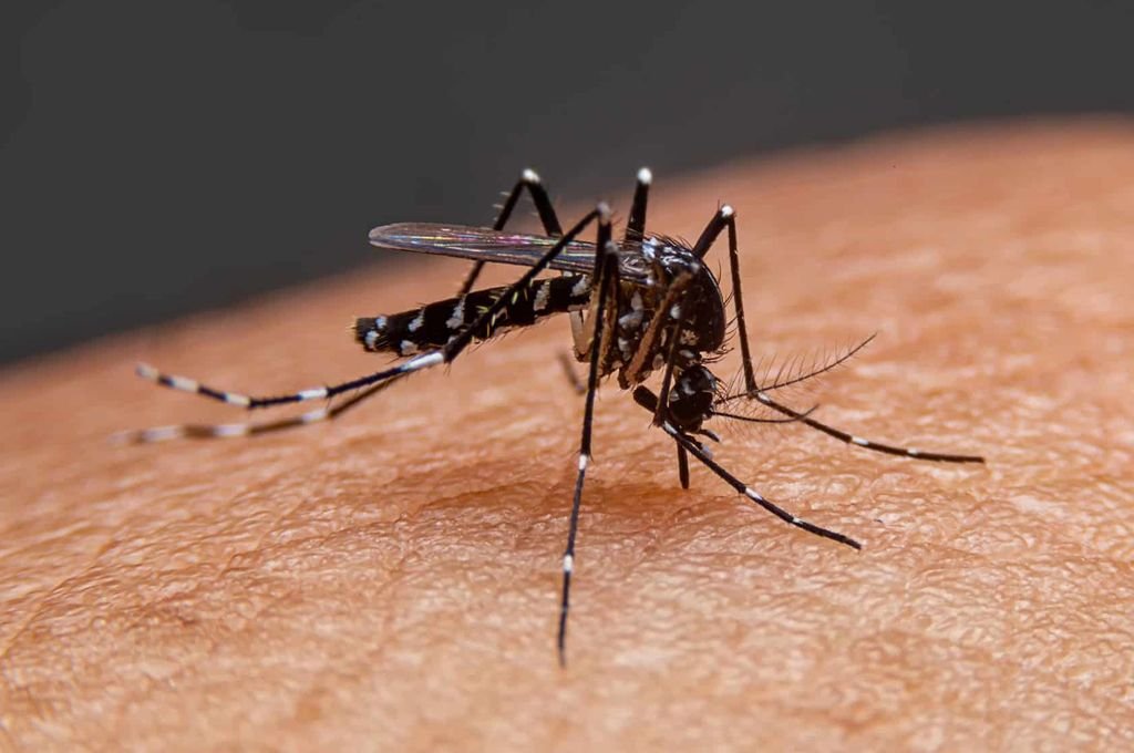 Ante esta situación se realizan las acciones de control y bloqueo