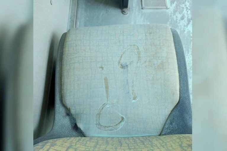 El extraño polvo cubría totalmente el interior del colectivo. gentileza
