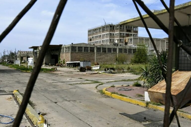 Los desechos contaminantes