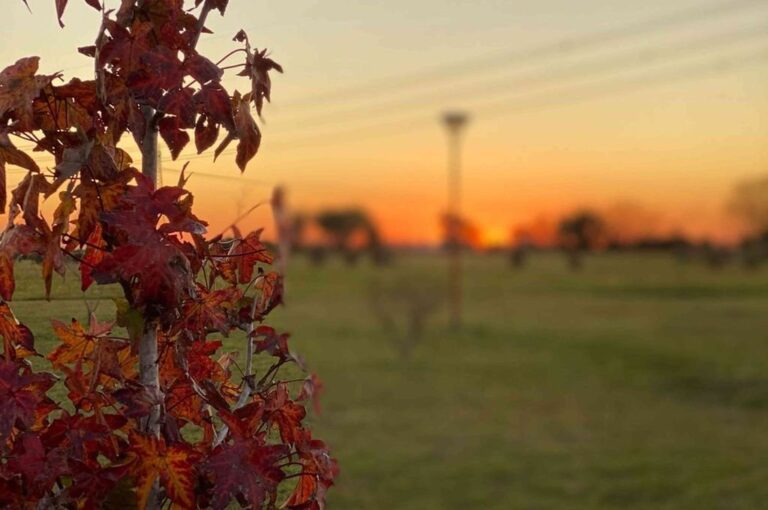 El proyecto comenzó en el año 2014 Archivo
