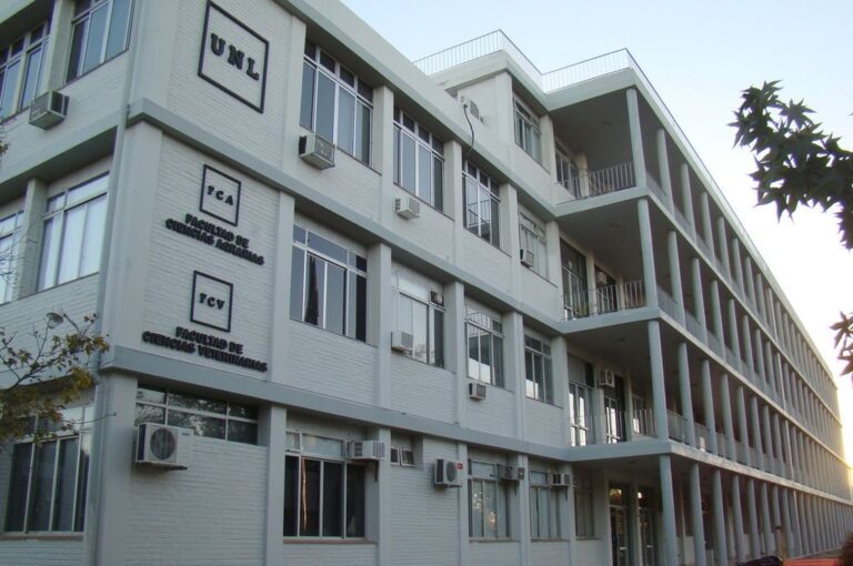 'Si nosotros pudiéramos estar frente a todas las personas que idearon este proyecto