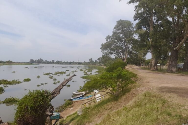 La obra de mitigación contra inundaciones y estabilización de las barrancas Zona Este de la ciudad