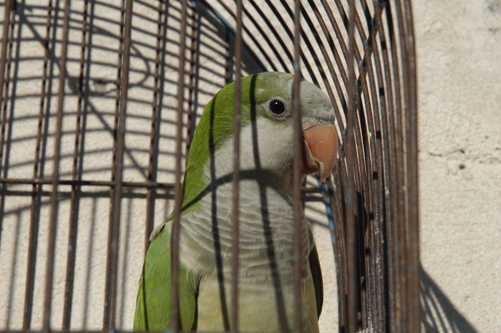 Se trata del quinto contagio en la ciudad del oeste santafesino. Archivo