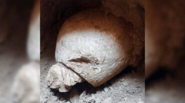 Todo ocurrió cuando una empresa constructora