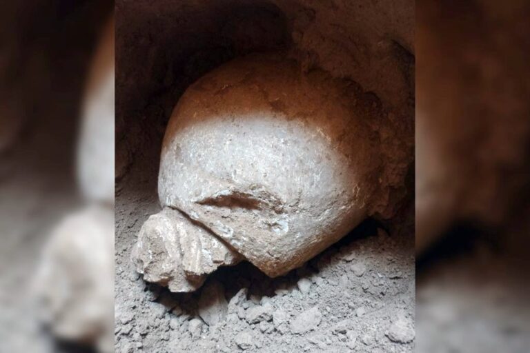 Todo ocurrió cuando una empresa constructora