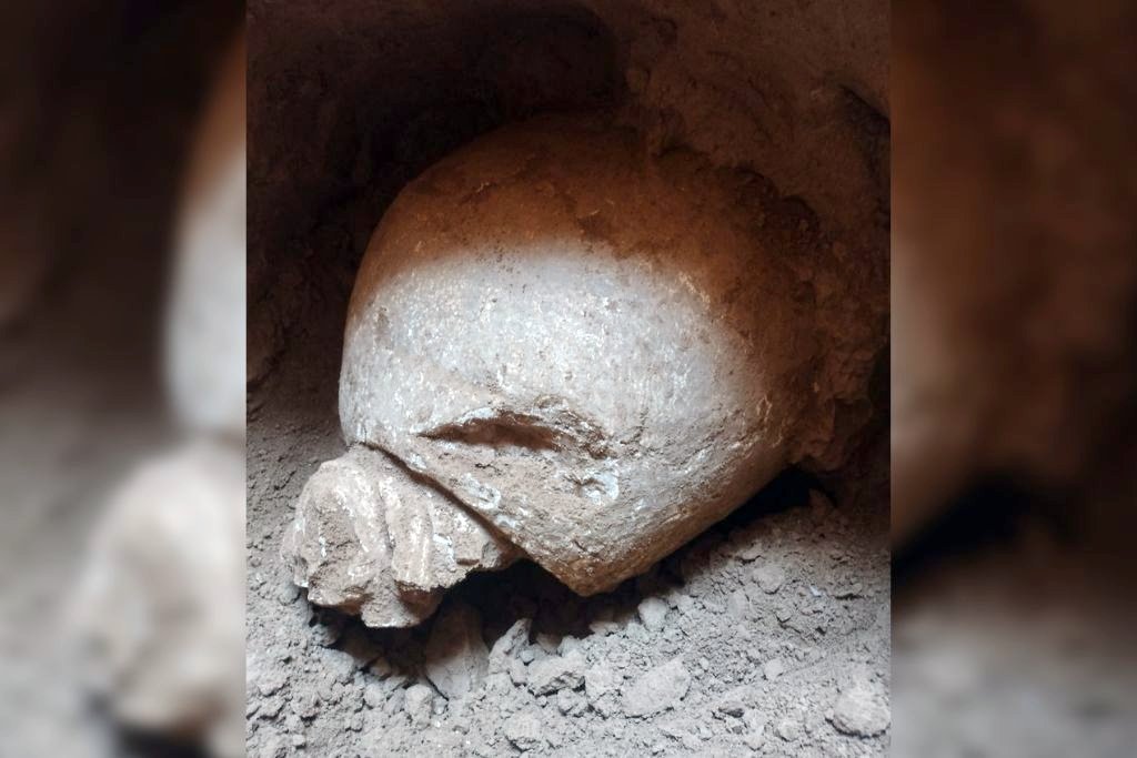 Todo ocurrió cuando una empresa constructora