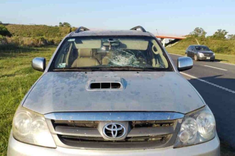 El hombre rescatado dejó caer una botella que impactó en una camioneta que circulaba por la autopista. Gentileza.