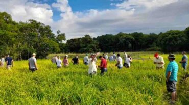 Los asistentes recorrieron arrozales del vivero municipal de San Javier.  Gentileza.