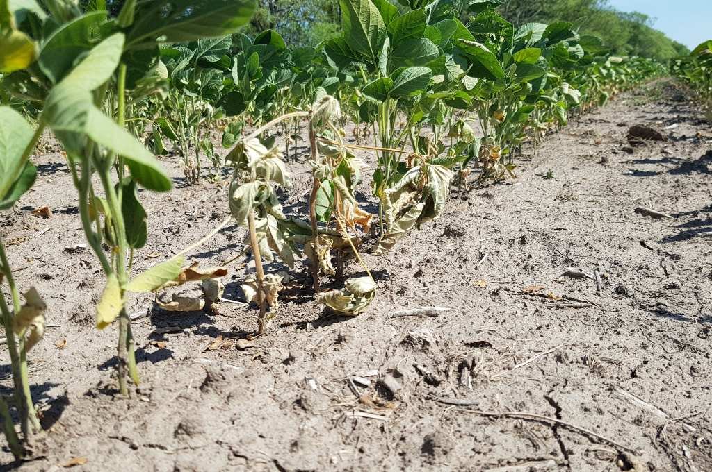 La Niña técnicamente culminó