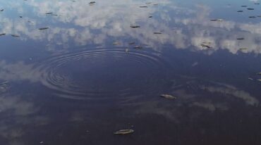 La Justicia de Ejecución Penal le dio lugar a un amparo ambiental por daño ambiental de incidencia colectiva. Mirador