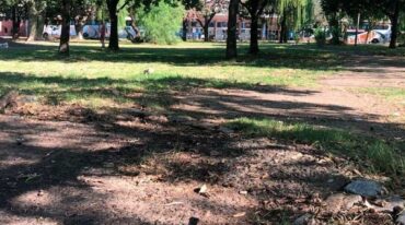 El espacio verde presenta alguna deficiencias