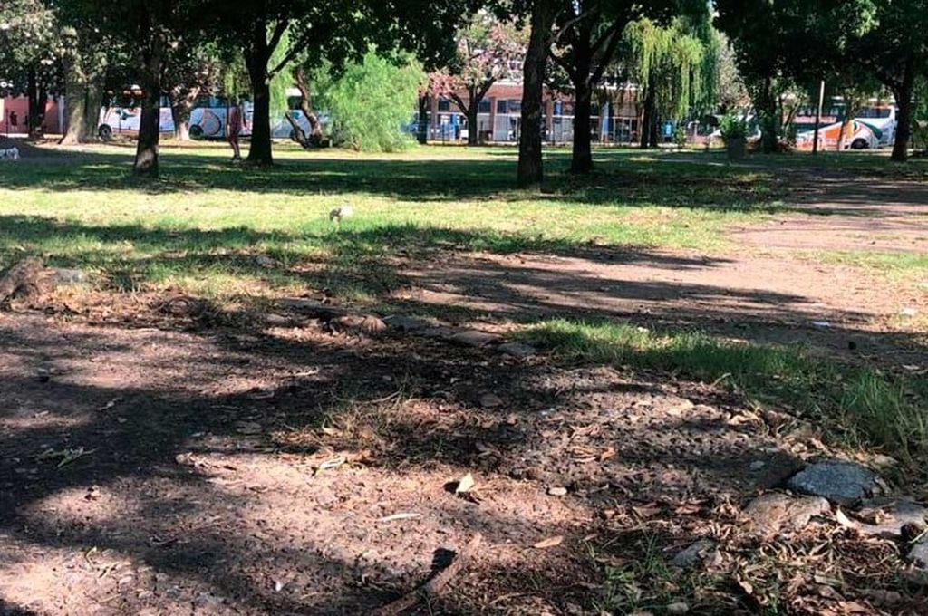 El espacio verde presenta alguna deficiencias