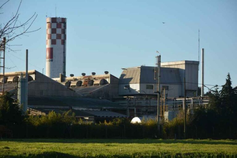 La Justicia le dio lugar a un amparo por daño ambiental de incidencia colectiva. Gentileza: Zona Norte Hoy.