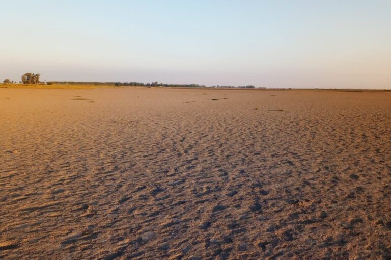 El espejo de agua del extremo sur quedó reducido a cero producto de la prolongada sequía. Sur24