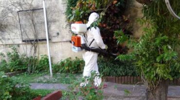 "El dengue vino para quedarse"